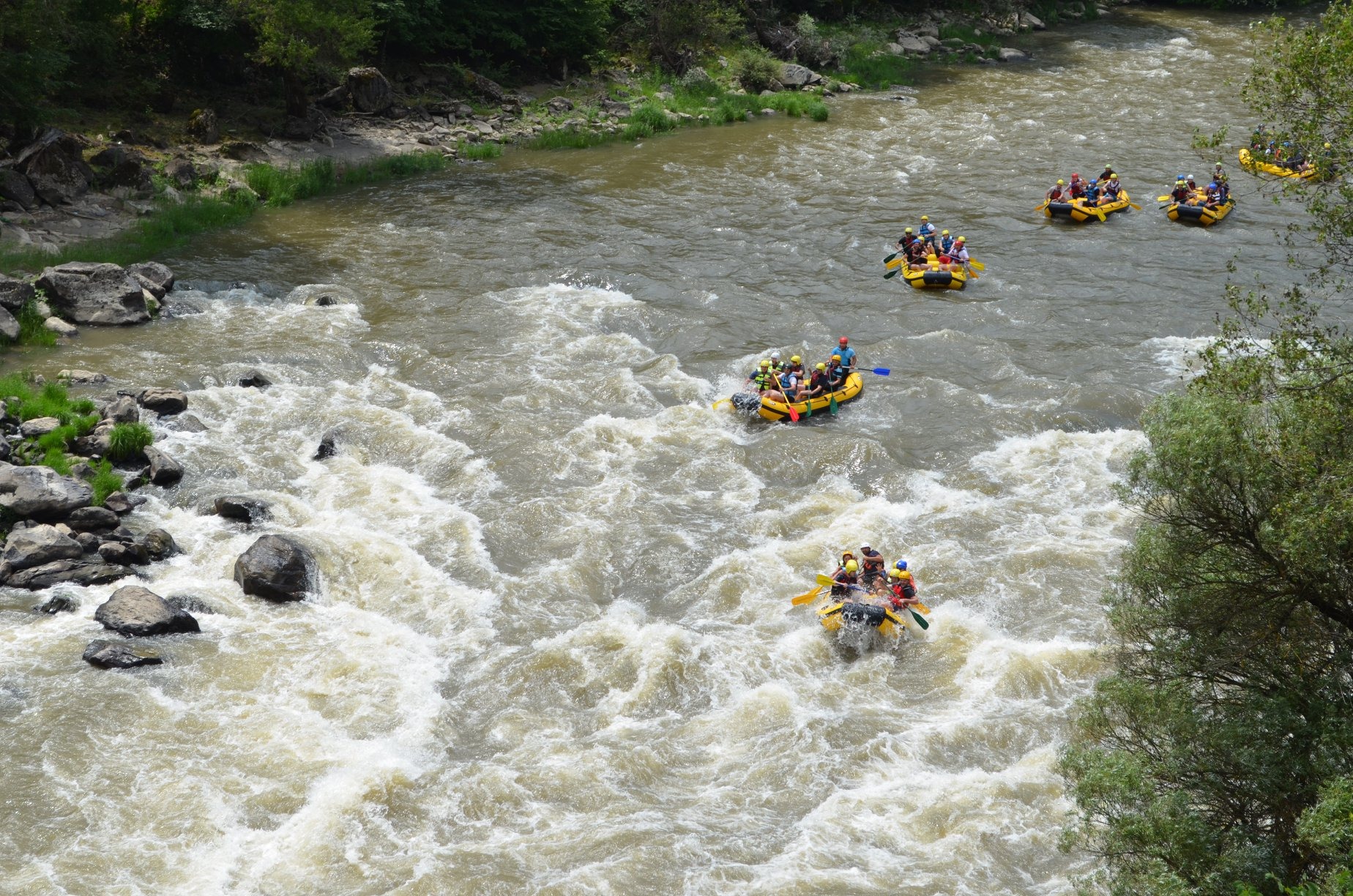 Aerial multi-raft view